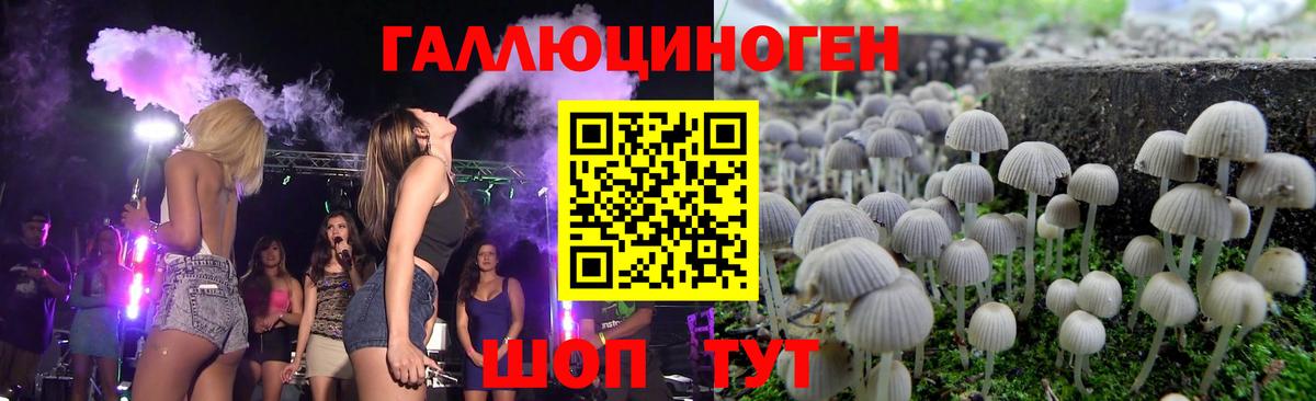 Псилоцибиновые грибы Magic Shrooms  Вход с VPN  Сатка 